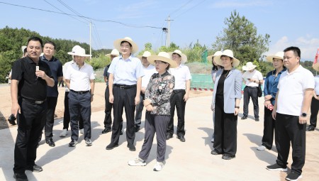 水利部副部长朱程清莅临pp电子游戏节水建设运营的梅江灌区项目调研。